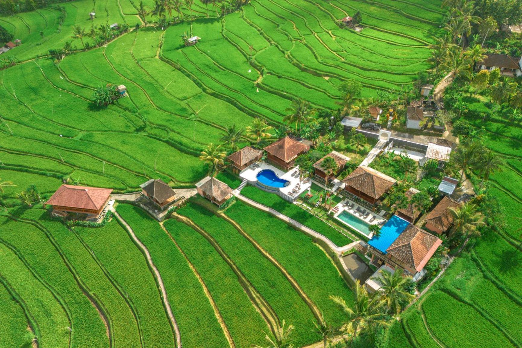 Villa Sande Munduk  Exterior photo