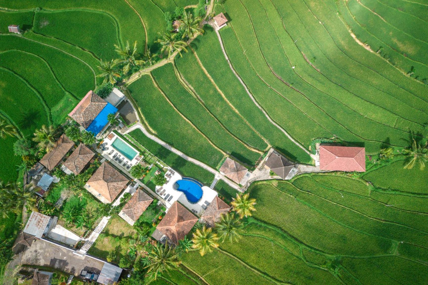 Villa Sande Munduk  Exterior photo